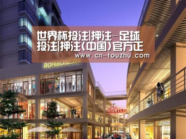 案例展示一(图1)