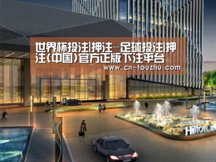 案例展示二(图1)