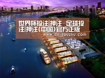 案例展示八