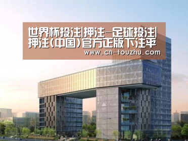 案例展示四